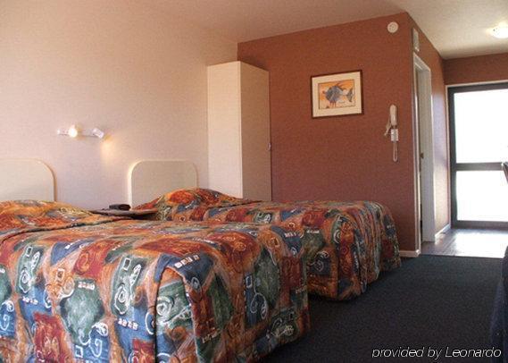 Mediterranean Motel Kaikoura Room photo